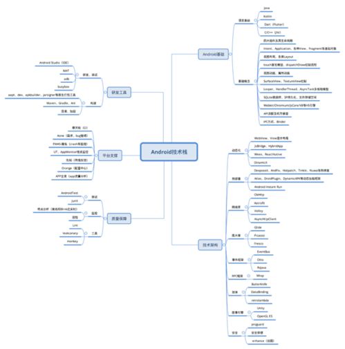 10 知識(shí)圖譜開放下載,讓你的學(xué)習(xí)效率提升5倍 右腦 開發(fā)套餐
