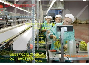 供應食品白色耐油1.2mmpu輸送帶,供應食品白色耐油1.2mmpu輸送帶生產(chǎn)廠家,供應食品白色耐油1.2mmpu輸送帶價格